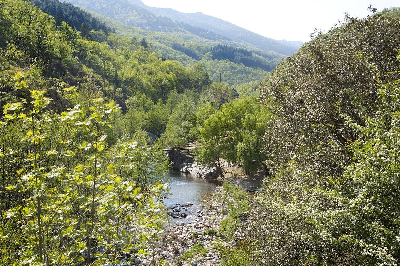 Logis Hotel-Restaurant Le Tanargue Valgorge 客房 照片